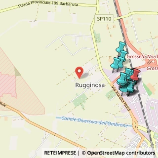 Mappa Strada Rugginosa Vecchia, 58100 Grosseto GR, Italia (1.3365)