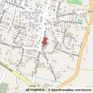 Mappa Via Professor M.Pontrelli, 109, 70028 Sannicandro di Bari, Bari (Puglia)