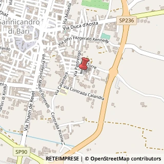 Mappa Via Isonzo, 23, 70028 Sannicandro di Bari, Bari (Puglia)