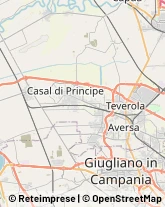 Aziende Agricole Frignano,81030Caserta