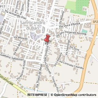 Mappa Via Thaon de Revel, 29, 70028 Sannicandro di Bari, Bari (Puglia)