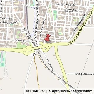 Mappa Via Cardinale Brancaccio, 22, 70010 Adelfia, Bari (Puglia)