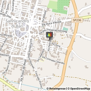 Palestre e Centri Fitness,70028Bari