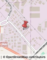 Zona ASI Aversa Nord, 1,81032Carinaro