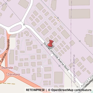 Mappa Strada Consortile, 81032 Carinaro, Caserta (Campania)