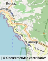 Ristoranti Camogli,16032Genova