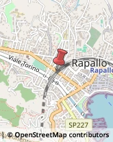 Via della Libertà, 84,16035Rapallo