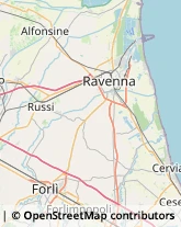 Consulenza di Direzione ed Organizzazione Aziendale Russi,48026Ravenna