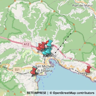 Mappa Via Privata Pastene, 16035 Rapallo GE, Italia (1.66455)