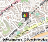 Professionali - Scuole Private,17019Savona