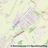 Map Villanova Mondovì