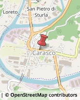 Via Disma Montanaro, 90,16042Carasco