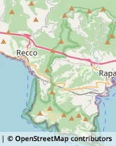 Imprese Edili Recco,16036Genova