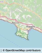 Imprese Edili Rapallo,16035Genova