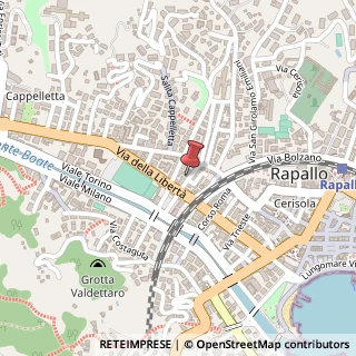 Mappa Via zignago mario 25, 16035 Rapallo, Genova (Liguria)