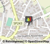 Consulenza Commerciale,12089Cuneo