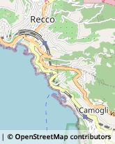 Ottica, Occhiali e Lenti a Contatto - Dettaglio Chiavari,16043Genova