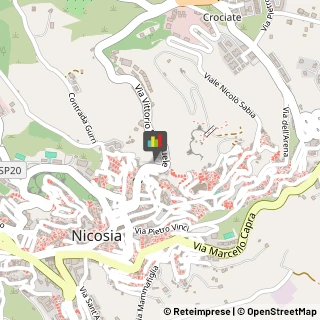 Ordini e Collegi Professionali Nicosia,94014Enna