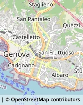 Maglieria - Produzione Genova,16122Genova