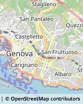 Supermercati e Grandi magazzini Genova,16145Genova