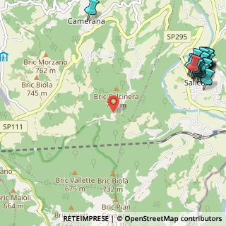 Mappa SP 295, 12079 Saliceto CN (1.7931)