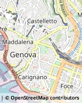 Importatori ed Esportatori Genova,16128Genova