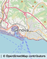 Importatori ed Esportatori Genova,16139Genova