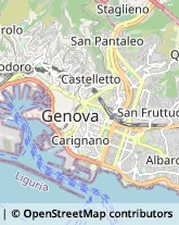 Importatori ed Esportatori Genova,16122Genova