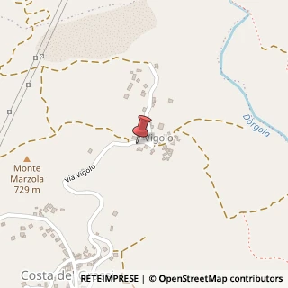 Mappa Via Vigolo, 54, 42035 Castelnovo Ne' Monti, Reggio nell'Emilia (Emilia Romagna)