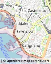 Agenzie Marittime Genova,16121Genova