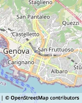 Feste - Organizzazione e Servizi Genova,16100Genova