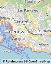 Naturopatia Genova,16129Genova