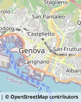 Articoli da Regalo - Dettaglio Genova,16129Genova