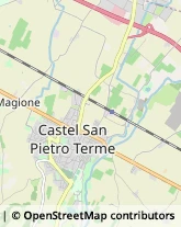 Aziende Agricole Castel San Pietro Terme,40024Bologna