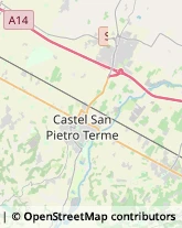 Aziende Agricole Castel San Pietro Terme,40024Bologna