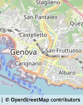 Danza - Articoli Genova,16122Genova