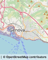 Disinfezione, Disinfestazione e Derattizzazione Genova,16126Genova