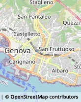 Disinfezione, Disinfestazione e Derattizzazione Genova,16145Genova