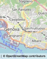 Ecografia e Radiologia - Studi Genova,16121Genova