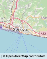 Articoli per Ortopedia Genova,16149Genova