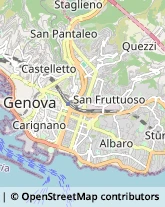 Articoli per Ortopedia Genova,16143Genova