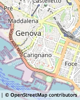 Agenzie Marittime Genova,16128Genova