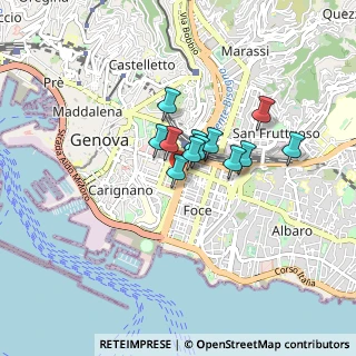 Mappa Via Brigata Bisagno, 16129 Genova GE, Italia (0.52167)