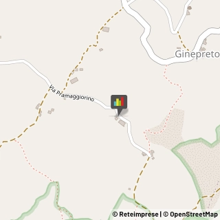 Aziende Agricole,42035Reggio nell'Emilia