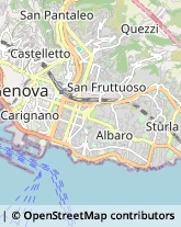 Palestre e Centri Fitness Genova,16129Genova