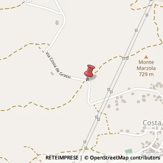 Mappa Via costa dei grassi, 42035 Castelnovo Ne' Monti, Reggio nell'Emilia (Emilia Romagna)