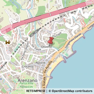 Mappa Via Olivette, 31, 16011 Arenzano, Genova (Liguria)