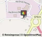 Omeopatia,48012Ravenna