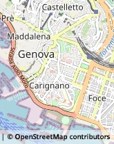 Palestre e Centri Fitness Genova,16121Genova