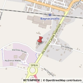 Mappa Via Sinistra Canale Superiore, 30, 48012 Bagnacavallo, Ravenna (Emilia Romagna)